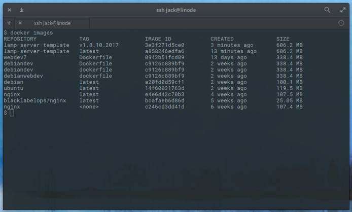 Our newly tagged image, ready to be pushed to Docker Hub Our newly tagged image, ready to be pushed to Docker Hub