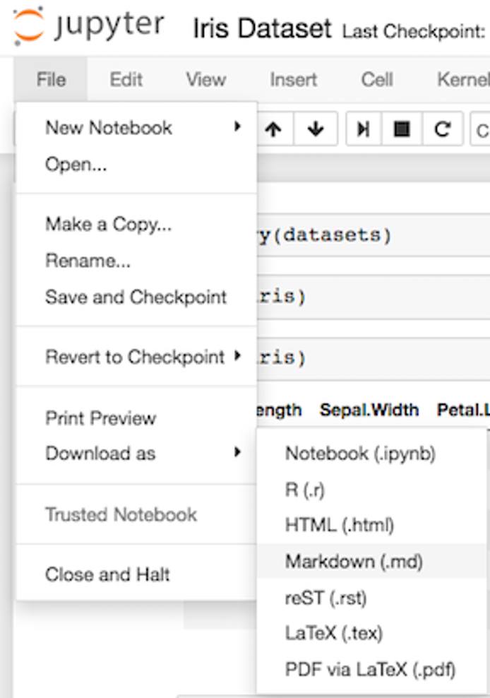 Jupyter Menu Jupyter Menu