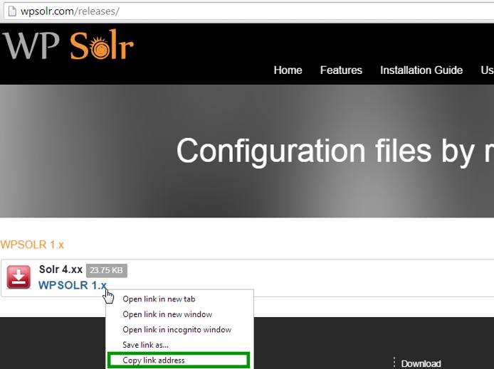 WPSolr Configuration Download WPSolr Configuration Download